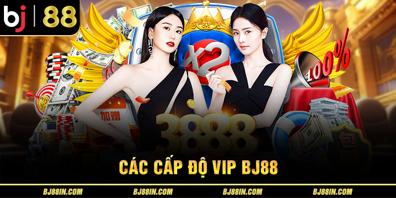 CẤP ĐỘ VIP VÀ ĐẶC QUYỀN CẤP ĐỘ VIP VÀ ĐẶC QUYỀN