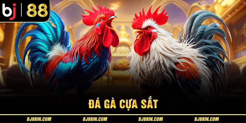 Đá gà cựa sắt