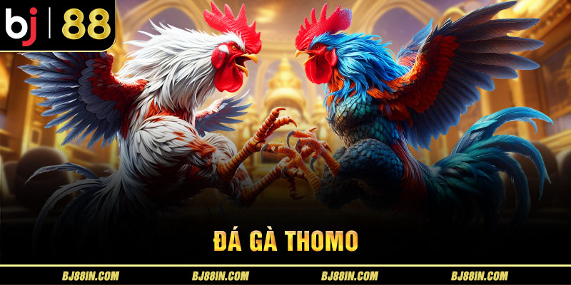 Đá gà Thomo